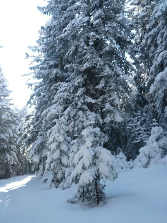 BALADE DE NOEL - DIMANCHE 21 DECEMBRE 2025