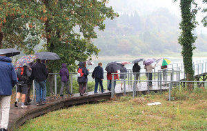 Voyage 2016 Sortie de Nantua Très intéressante et très humide