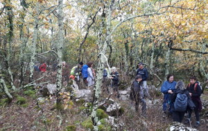 2018-11-09 Dans la forêt de feuillus vers le lieu dit Goule Brus