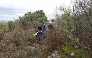 2018-11-09 Pique nique après le lieu dit La Drayette.