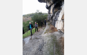 2018-11-10 Rive droite de l'Ardèche à hauteur de Servière.