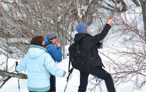 Miam les bons cynorrhodons pleins de vitamines C