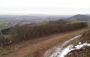 Sortie du bois du Perchais. Vue sur Mont Blanc. 
