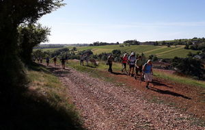 Vers le lieu dit Belle Barbe.