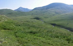 paysage de steppes sur le plateau d'Emparis