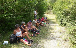 Le 06/08/2019 Pique nique près de Font Basse.