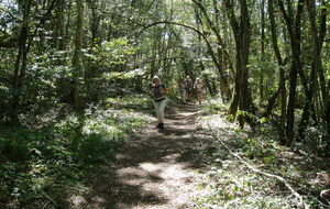 08-09-2020 Accès au cirque du bout du monde.