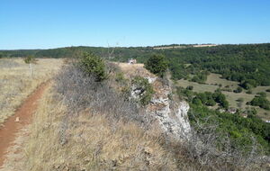 08-09-2020 En bordure de la falaise des chêtelots.