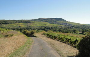 09-09-2020 Sur le site ds longues raies.