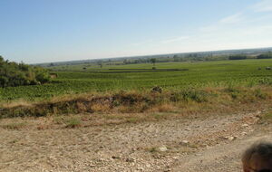 11-09-2020 Clos vu des Perrières