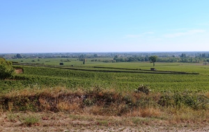 11-09-2020 Clos des Perrières Meursault