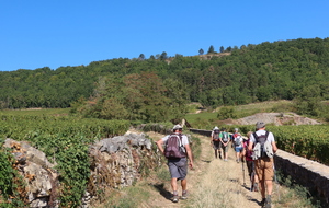 11-09-2020 Entre les murets des clos