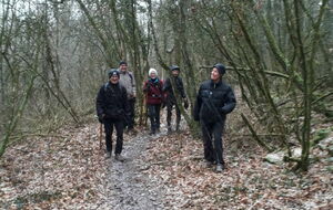 Dans le bois près du lieu dit Fontainebleau