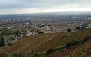 Vue de Fleurie en partance pour la Madone