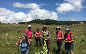 Des troupe-aux sur le plateau