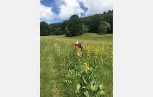 Que de belles plantes !