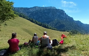 Prairie du col de la Ruchère