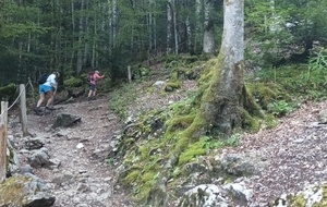 Montée dans la forêt de Saint Bridoire
