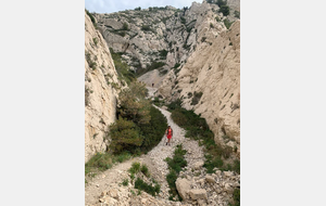 Le vallon de l'Erevine