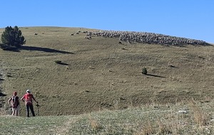 sur le plateau de la montagne de Céüse