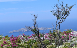 Les calanques insolites 2018
