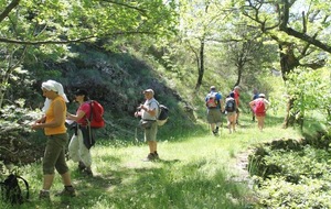 Gris'balade à Grézieu le Marché