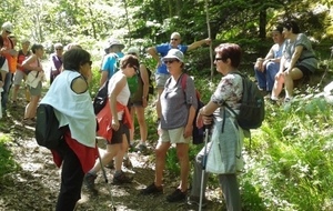 Vendredi Rando Saint Loup