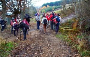 Vendredi rando Chatillon d'Azergues