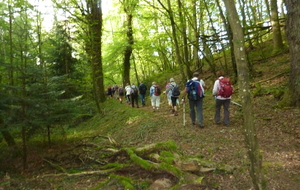 DIMANCHE RANDO ESSERTINES EN DONZY