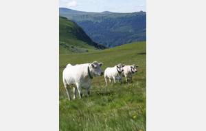 SEJOUR ORCIVAL SEPTEMBRE 2019