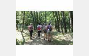 REUNION FIN DE MOIS reportée