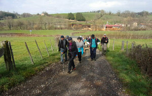 RANDONNEE IMPROVISEE - SAINT CYR DE VALORGES