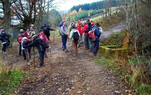 DIMANCHE RANDO NOVEMBRE 2021 FLEURIE 