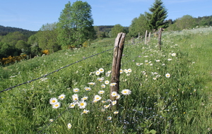 REUNION MENSUELLE MARS 2022