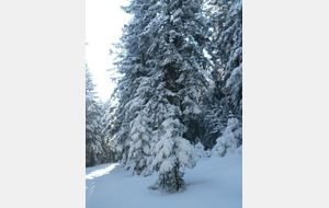 BALADE DE NOEL DECEMBRE 2022