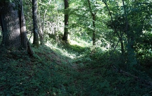 REUNION MENSUELLE AOUT 2022