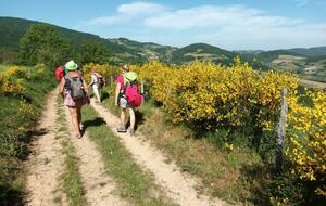 DIMANCHE RANDO OCTOBRE 2022 LANTIGNIE