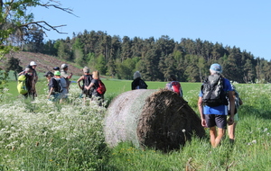 VENDREDI RANDO OCTOBRE 2022 ST VERAND