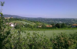 DIMANCHE RANDO 13 NOVEMBRE 2022 LOZANNE