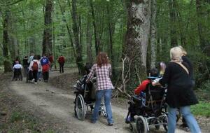 BALADE POUR PERSONNES A MOBILITE REDUITE et POUSSETTES LE DIMANCHE 19 MARS 2023