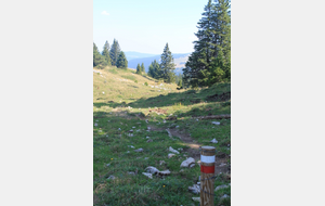 REUNION COMMISSION PARCOURS RANDONNEE MARS 2023