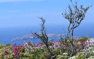 RENCONTRE &quot;LES CALANQUES&quot; AVRIL 2023