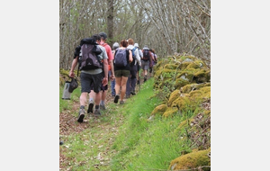 DIMANCHE RANDO MAI 2023 ST ETIENNE LA VARENNE - ANNULEE