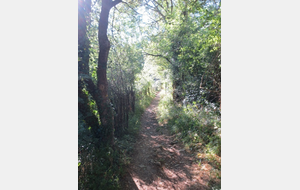 VENDREDI RANDO SEPTEMBRE 2023 STE PAULE COL DU CHATOUX