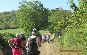 DIMANCHE RANDO NOVEMBRE 2023 CHEVINAY