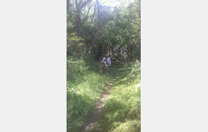 NETTOYAGE ET ENTRETIEN DES SENTIERS FEVRIER 2024