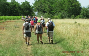 VENDREDI RANDO MARS 2024 LE BOIS D'OINGT