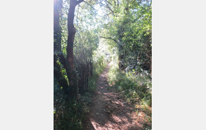 REUNION MENSUELLE MAI 2024