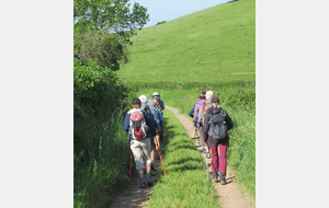 VENDREDI RANDO MAI 2024 BRUSSIEU