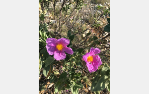 REUNION MENSUELLE JUIN 2024